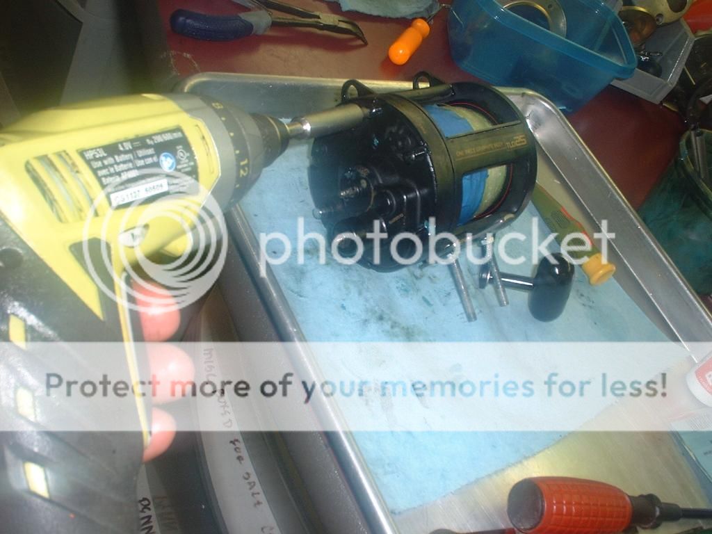 Shimano TLD 25 rebuild — Florida Sportsman